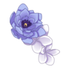 https://www.eldarya.pl/assets/img/item/player//icon/8cc910dca10feb968bab1a191a50e7fe~1604524457.png
