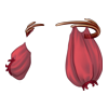 https://www.eldarya.pl/assets/img/item/player//icon/e21fb34d3fb5b9310057aa9194e8044c~1620737104.png